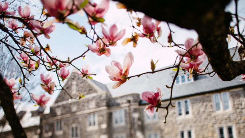 Springtime on campus